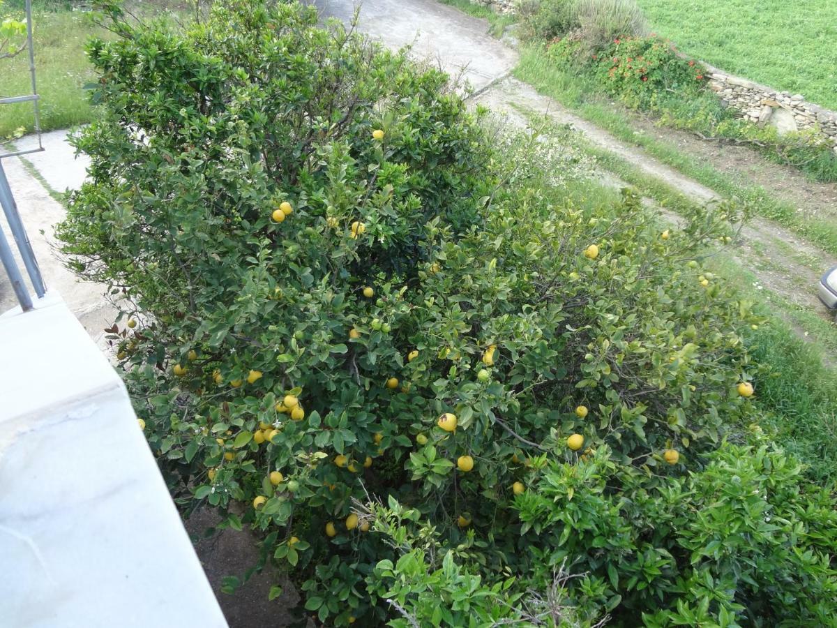 Villa House In The Grass Land. Ormos  Exterior foto